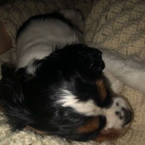 Meet your Posher, Deanna